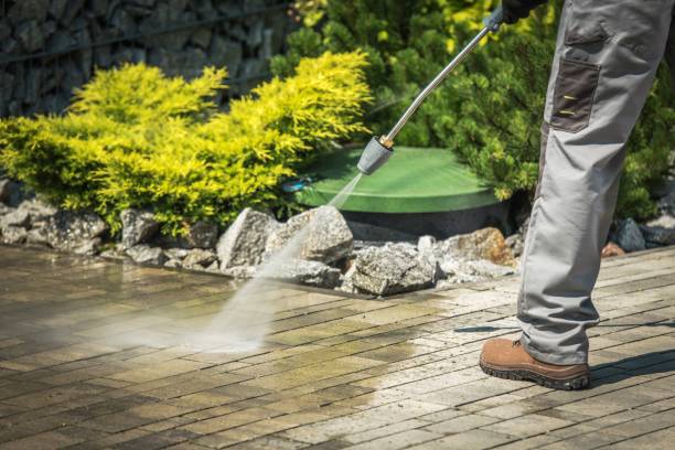 Best Spring Cleaning  in Waterville, MN