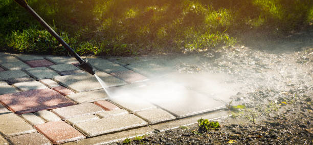 Best Fence Cleaning  in Waterville, MN